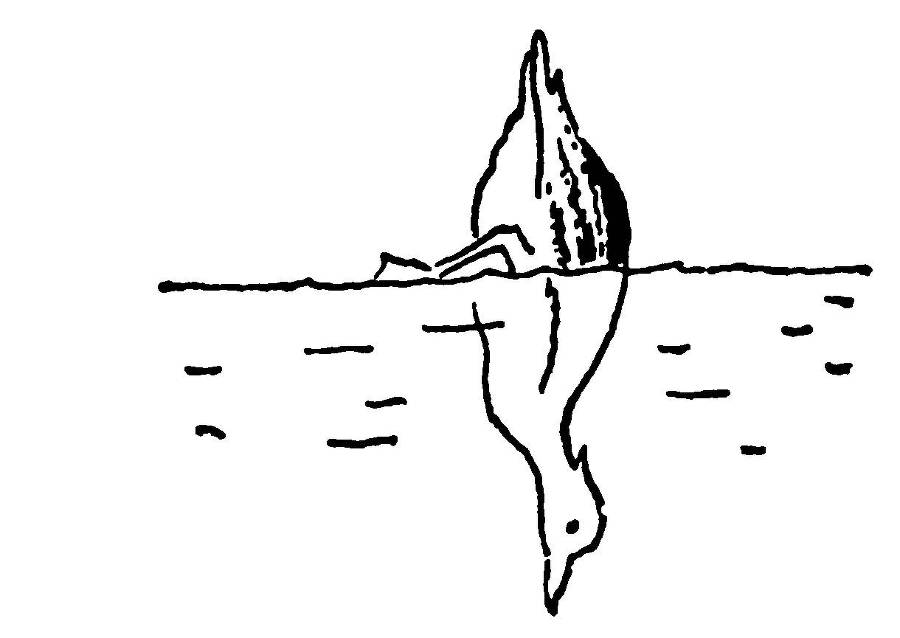 С утра и до вечера - _91.jpg