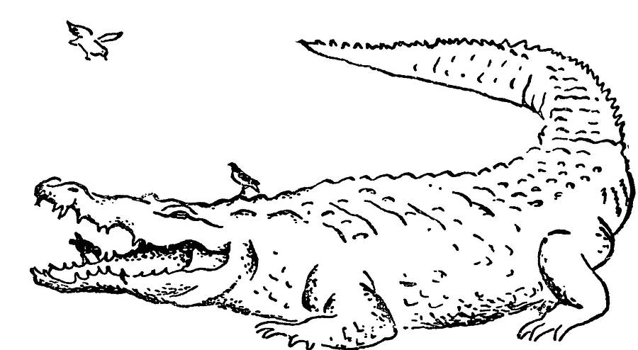 С утра и до вечера - _13.jpg