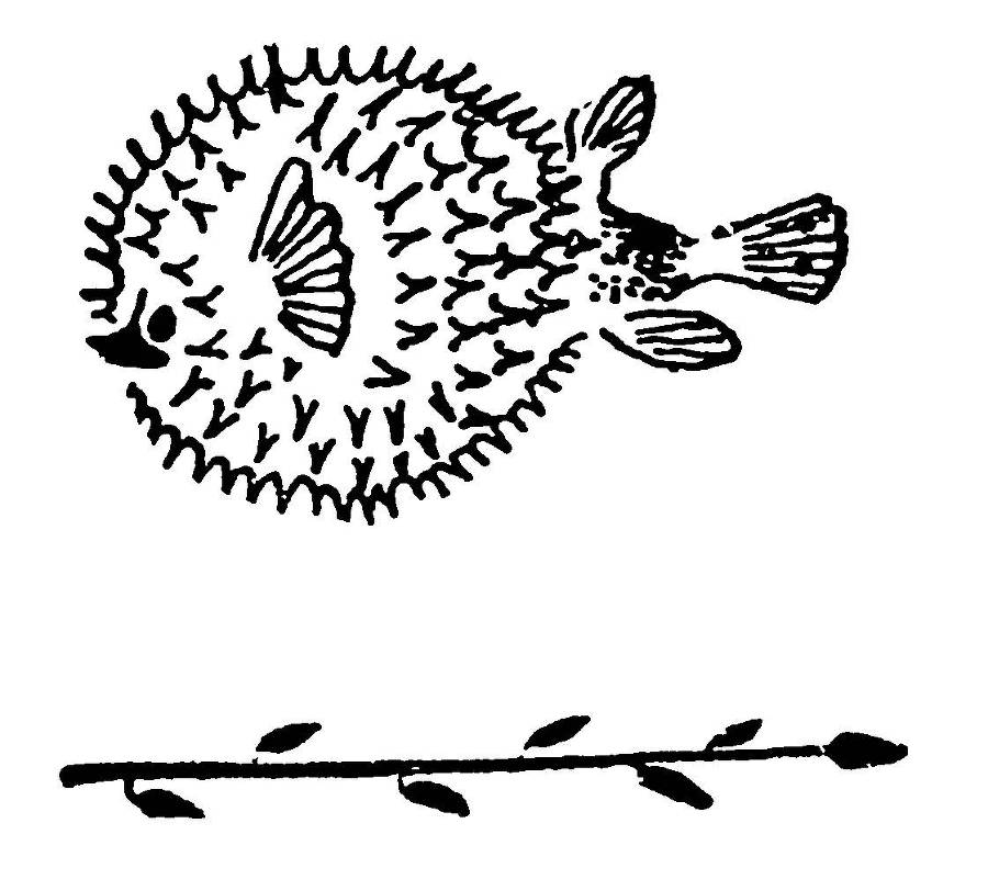 С утра и до вечера - _66.jpg