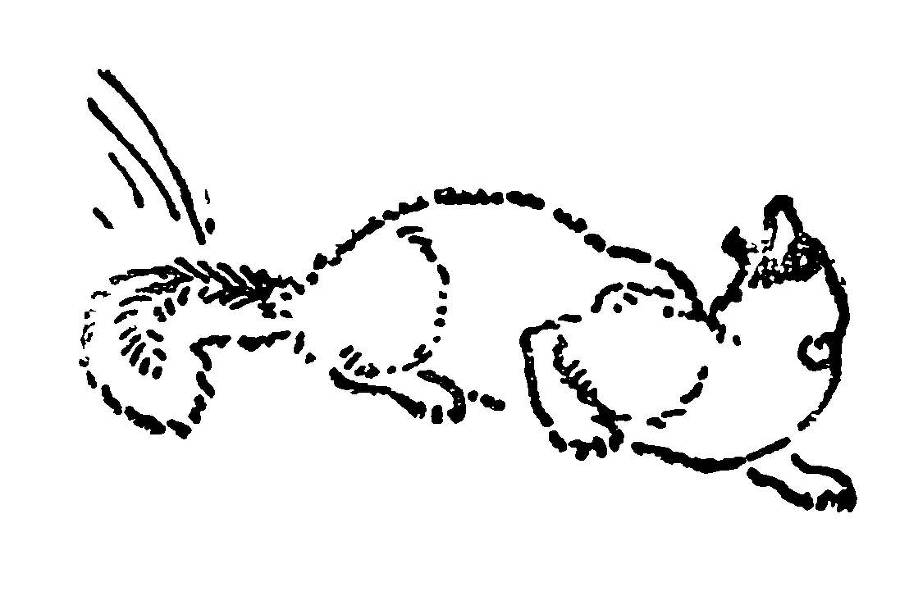 С утра и до вечера - _25.jpg