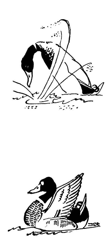 С утра и до вечера - _35.jpg