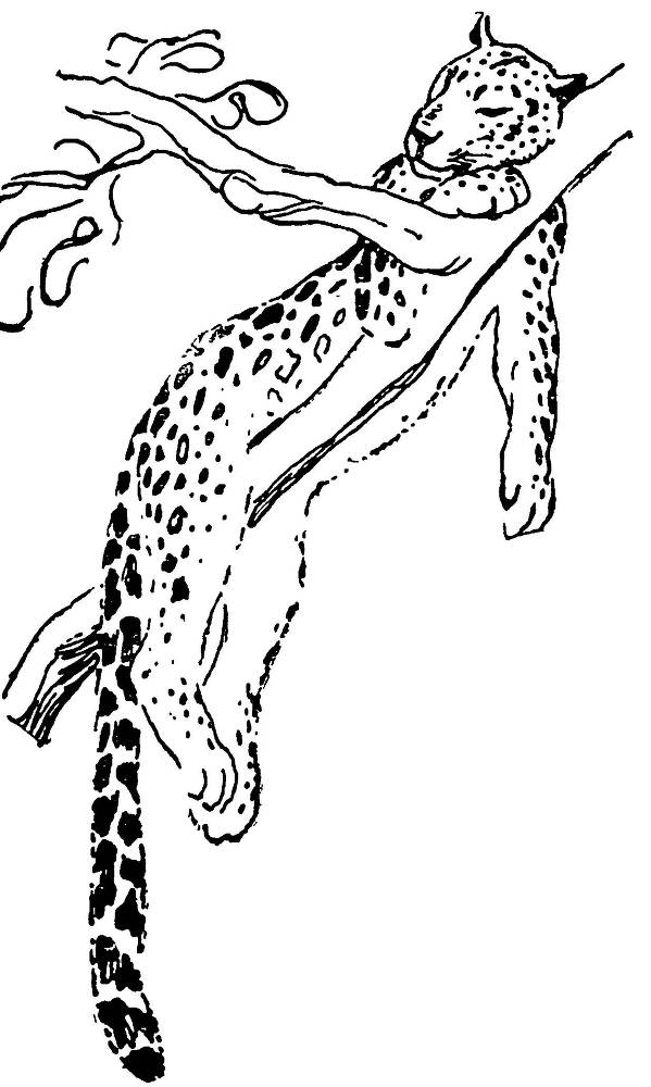 С утра и до вечера - _104.jpg