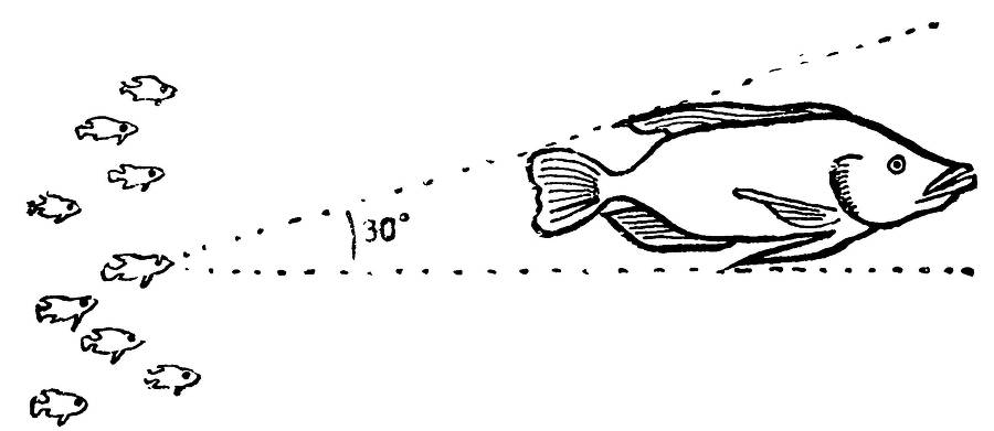 С утра и до вечера - _46.jpg