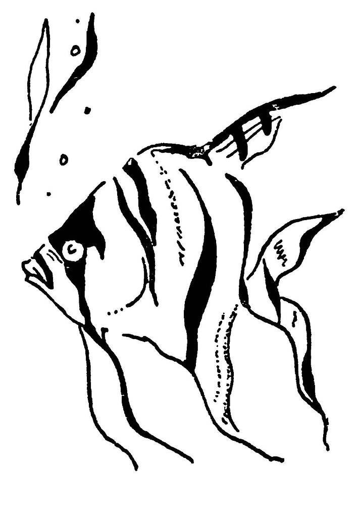 С утра и до вечера - _72.jpg