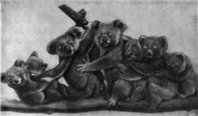 Трагедия диких животных - pic_33.jpg