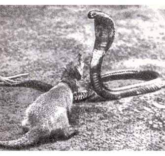 Тропою легенд - i_005.jpg