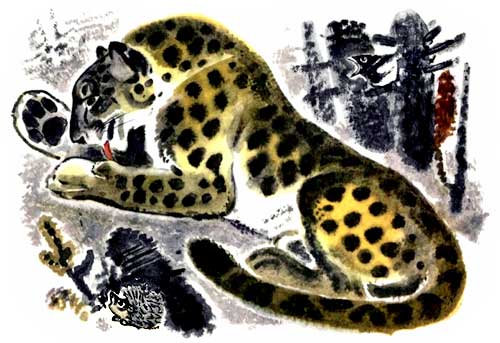 Это все кошки - i_008.jpg