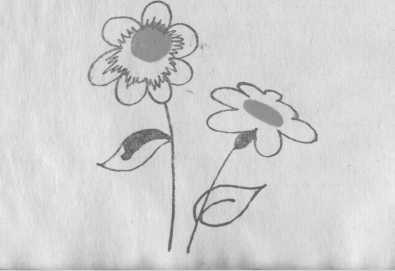 Потрясающие открытия Лёшки Скворешникова. - image14.jpg