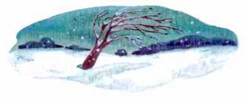 Сказки о Хоме и Суслике - i_034.jpg