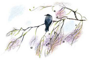 Прощай, Терминатор! - _2.jpg