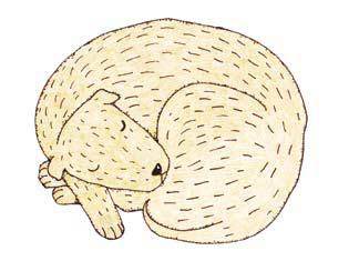 Щенок Засоня - i_007.jpg