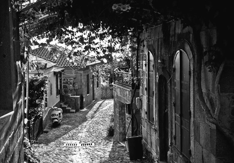 Моника Беллуччи. Кто простит мою красоту - i_014.jpg