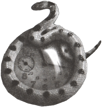 Джандо - i_004.png