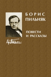 Наследники - автор Пильняк Борис Андреевич 