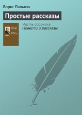 Простые рассказы - автор Пильняк Борис Андреевич 