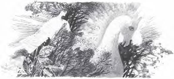 Избранное (сборник) - i_006.jpg