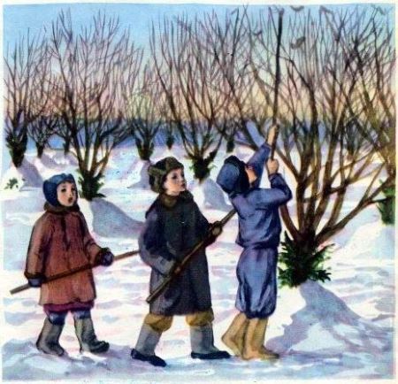 В саду росла яблонька - i_006.jpg