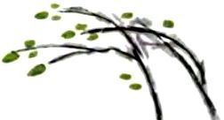 Мой папа - волшебник - pic_4.jpg