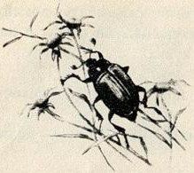 Птица-синица - i_006.jpg