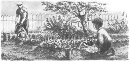 Птица-синица - i_012.jpg