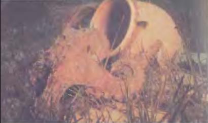 В поисках Атлантиды - i_103.jpg