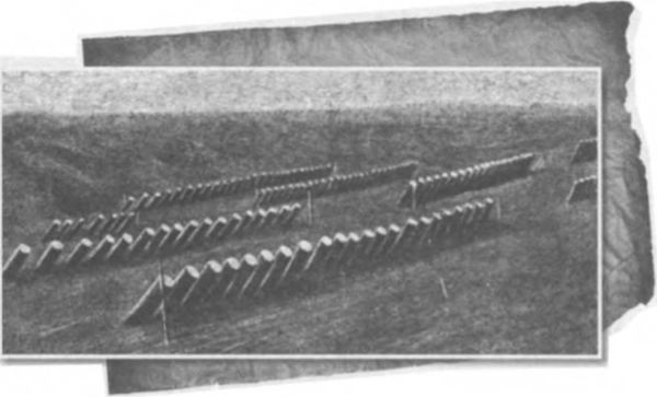 Во имя памяти святой...<br />Первая мировая война на белорусской земле - i_050.jpg