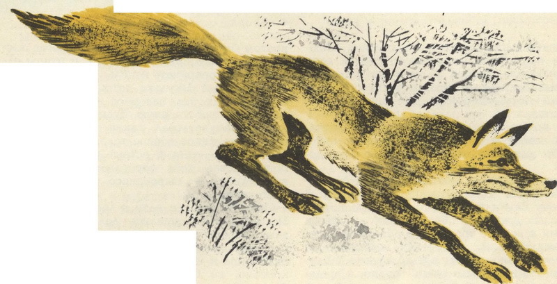 Прыжок в высоту + Джулькино детство - _5.jpg