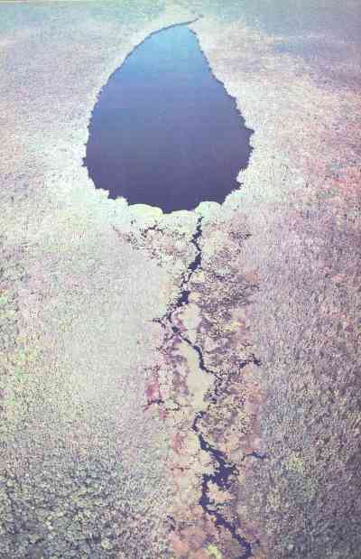 Живая планета - i_037.jpg