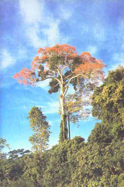 Живая планета - i_038.jpg