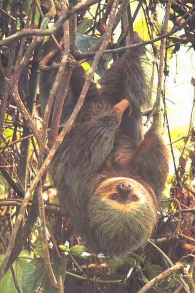 Живая планета - i_041.jpg