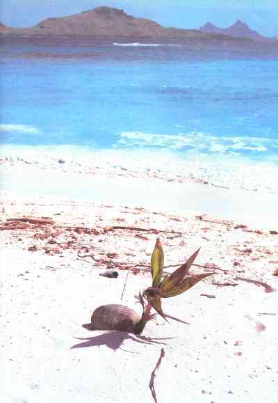 Живая планета - i_109.jpg