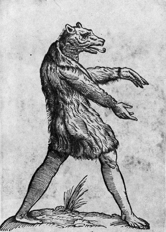 Мадагаскарские диковины - i_001.jpg