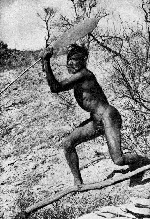 Под тропиком Козерога - i_022.jpg