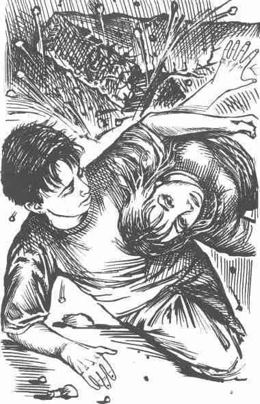 Месть безумного лорда - i_006.jpg