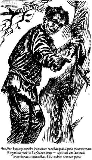 Тень средневекового лекаря - i_005.jpg