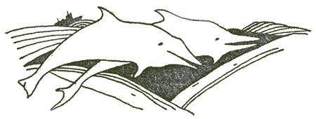 Несущие ветер - i_002.png