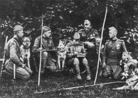 Солдат по кличке Рекс - i_015.jpg