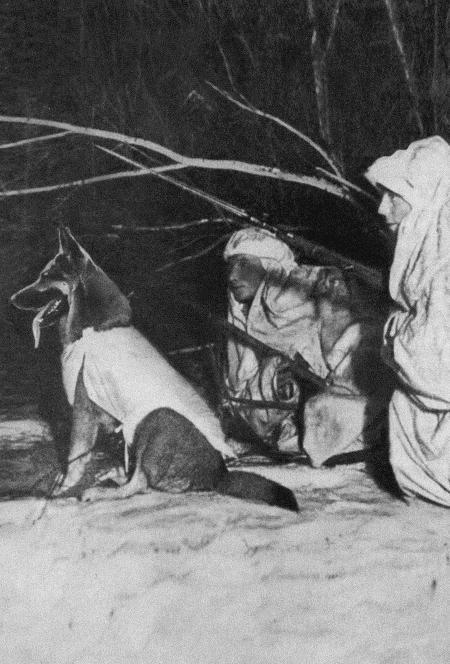 Солдат по кличке Рекс - i_019.jpg