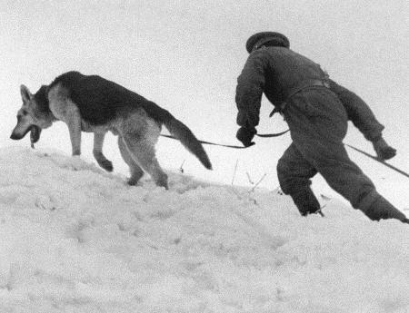 Солдат по кличке Рекс - i_021.jpg