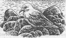 Тайны смотрителя маяка - i_002.jpg