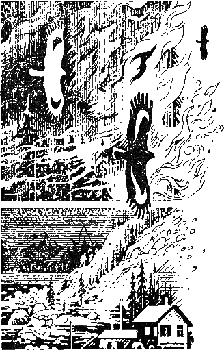 Путешествие вокруг вулкана - i_002.png