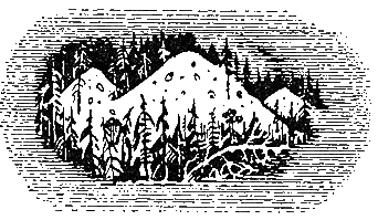 Путешествие вокруг вулкана - i_003.png