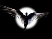 Крылья чёрные - автор Андреев Николай Юрьевич 