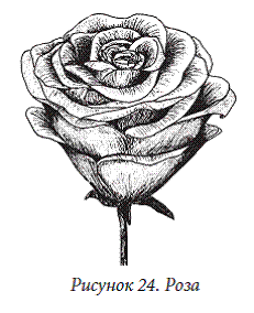 Декоративные цветы из бумаги, ткани, кожи, меха, бисера - i_024.png