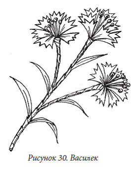 Декоративные цветы из бумаги, ткани, кожи, меха, бисера - i_030.png