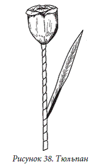 Декоративные цветы из бумаги, ткани, кожи, меха, бисера - i_038.png