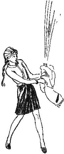 Девочка и птицелет (с илл.) - i_001.png