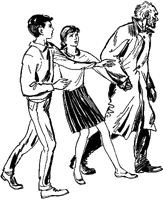 Девочка и птицелет (с илл.) - i_003.png