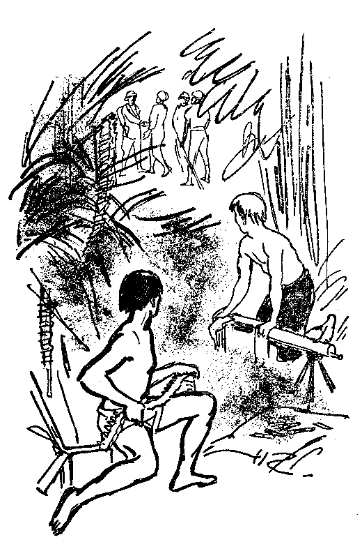 Сын воды. В стране райской птицы. Амок - pic_24.png