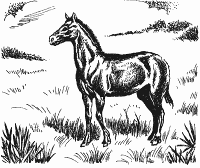 Человек идет - i_015.png